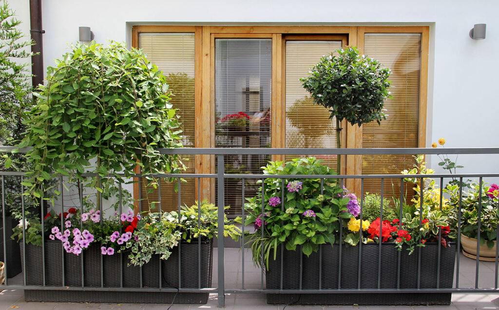 balcony-hanging-containers-plants