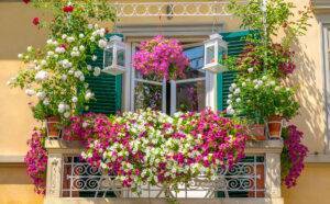 european-balcony-garden-window-flowers