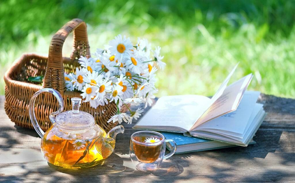 chamomile-tea-book-basket-picknic-garden