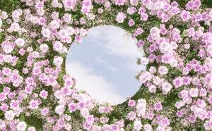 mirror-garden-pink-roses-flowers