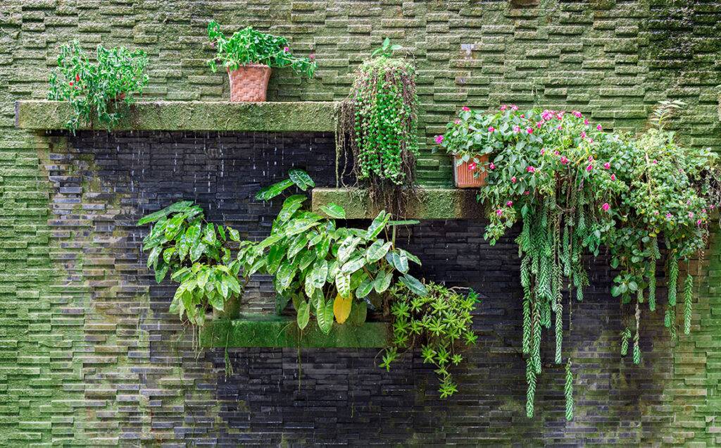 wall-plants-planters-pots