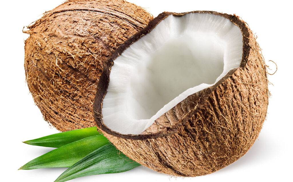 opened-cracked-coconut