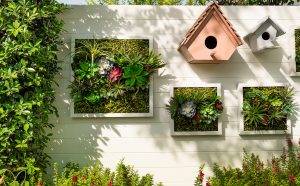 wall-home-gardening